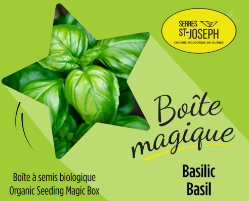 Basilic Bio – Semis et informations générales