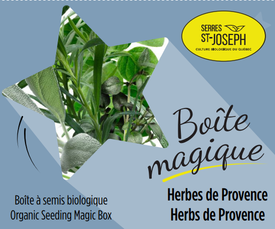 Herbes de Provence bio – Semis et informations générales