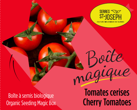 Tomates cerises rouges Bio – Semis et informations générales